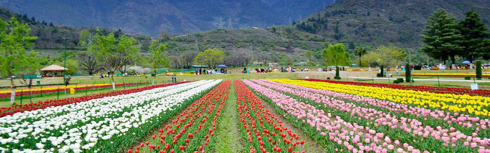 Kashmir Adventure
