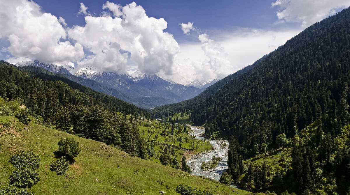 Aru Valley